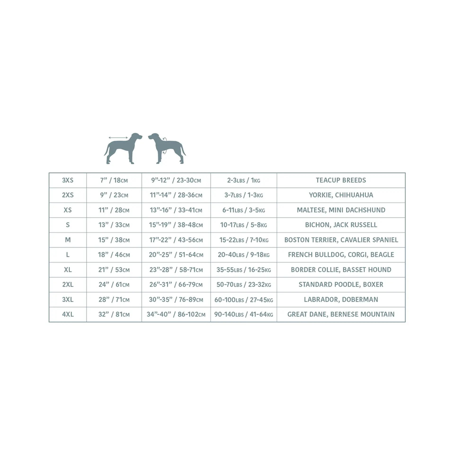 13606728_largewebp — Trend Oasis