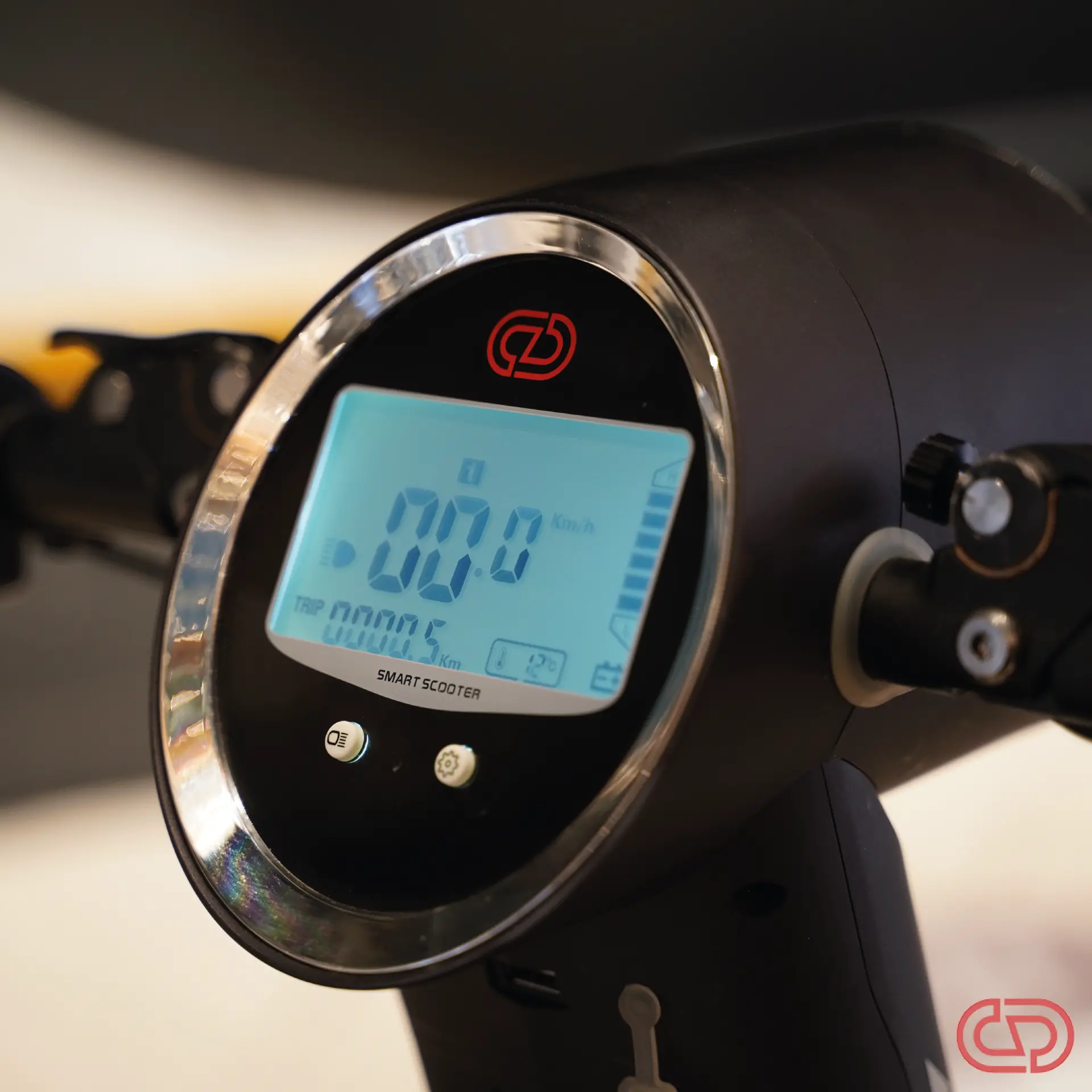 cruzaa black screen -01.png — Trend Oasis