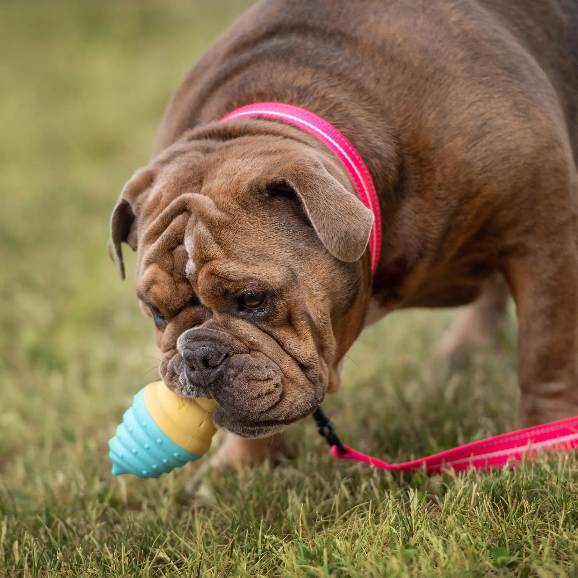 23906861_largewebp — Trend Oasis