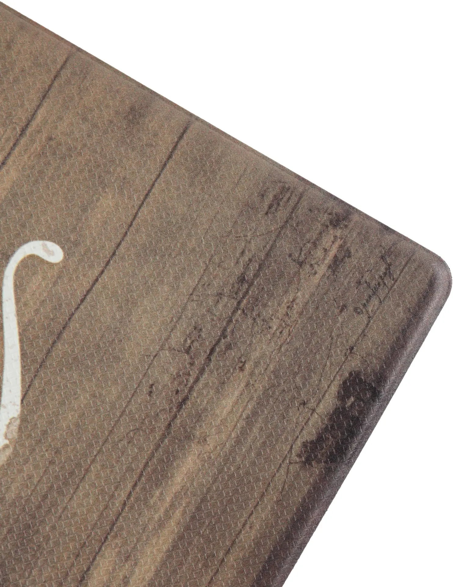 2448002_large.webp — Trend Oasis