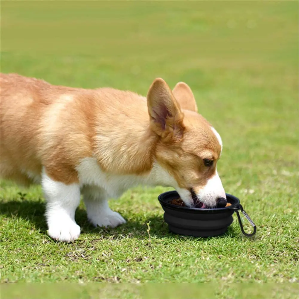 32941652_largewebp — Trend Oasis