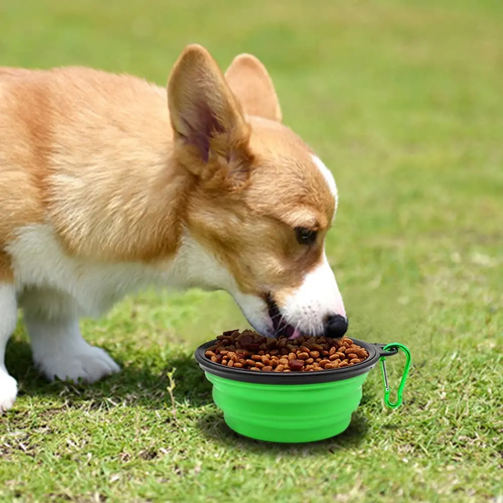 32941677_largewebp — Trend Oasis