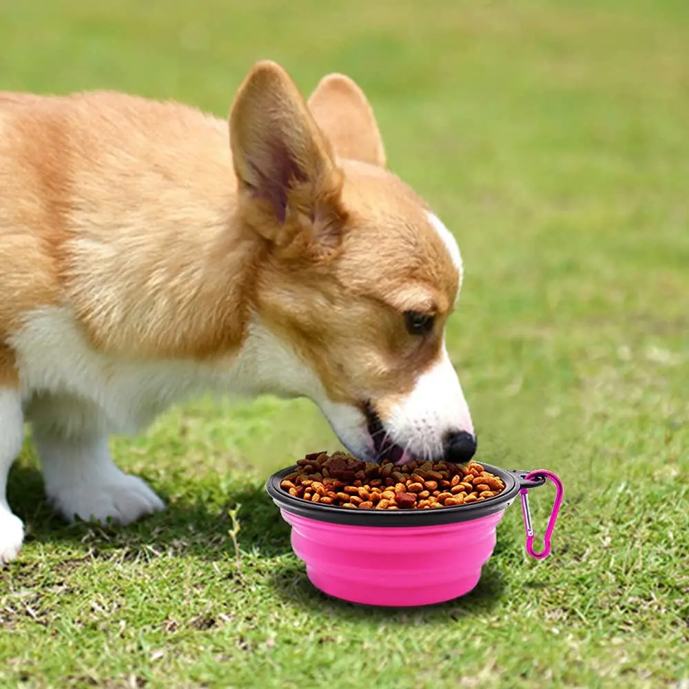 32942086_largewebp — Trend Oasis