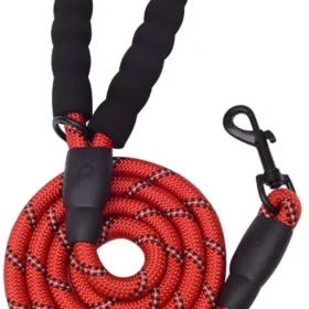 3327551_largewebp — Trend Oasis