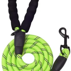 3328391_largewebp — Trend Oasis