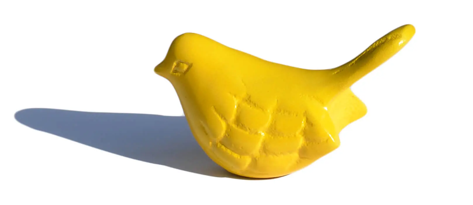 3328448_largewebp — Trend Oasis