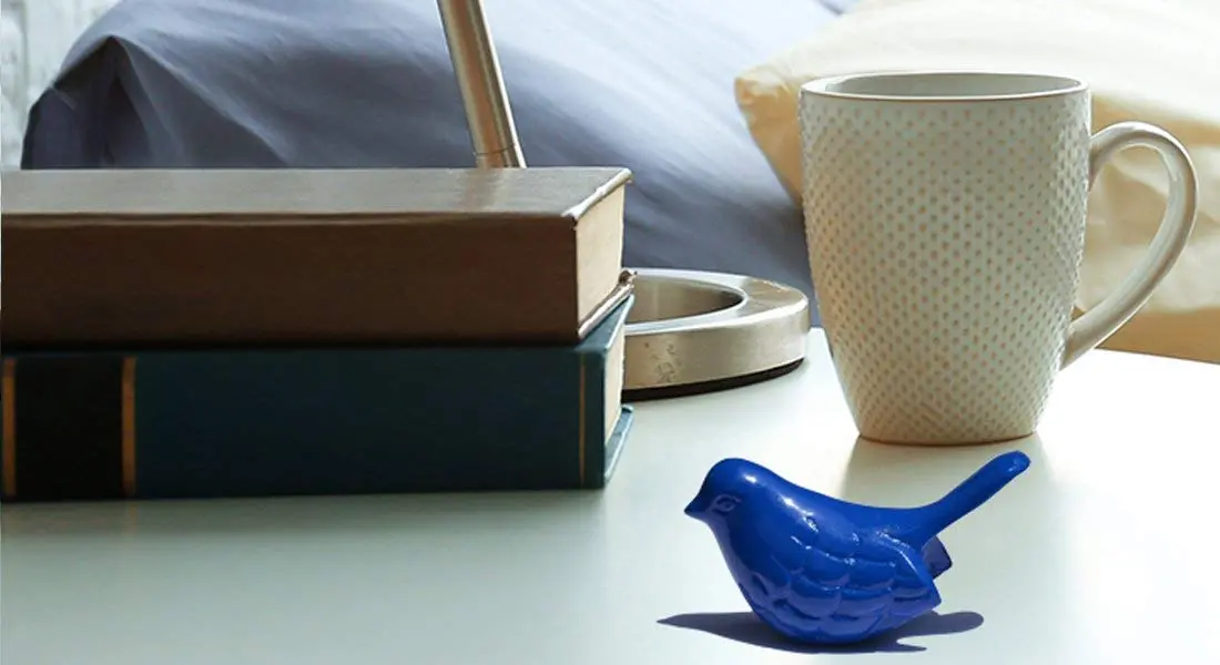 3328491_largewebp — Trend Oasis