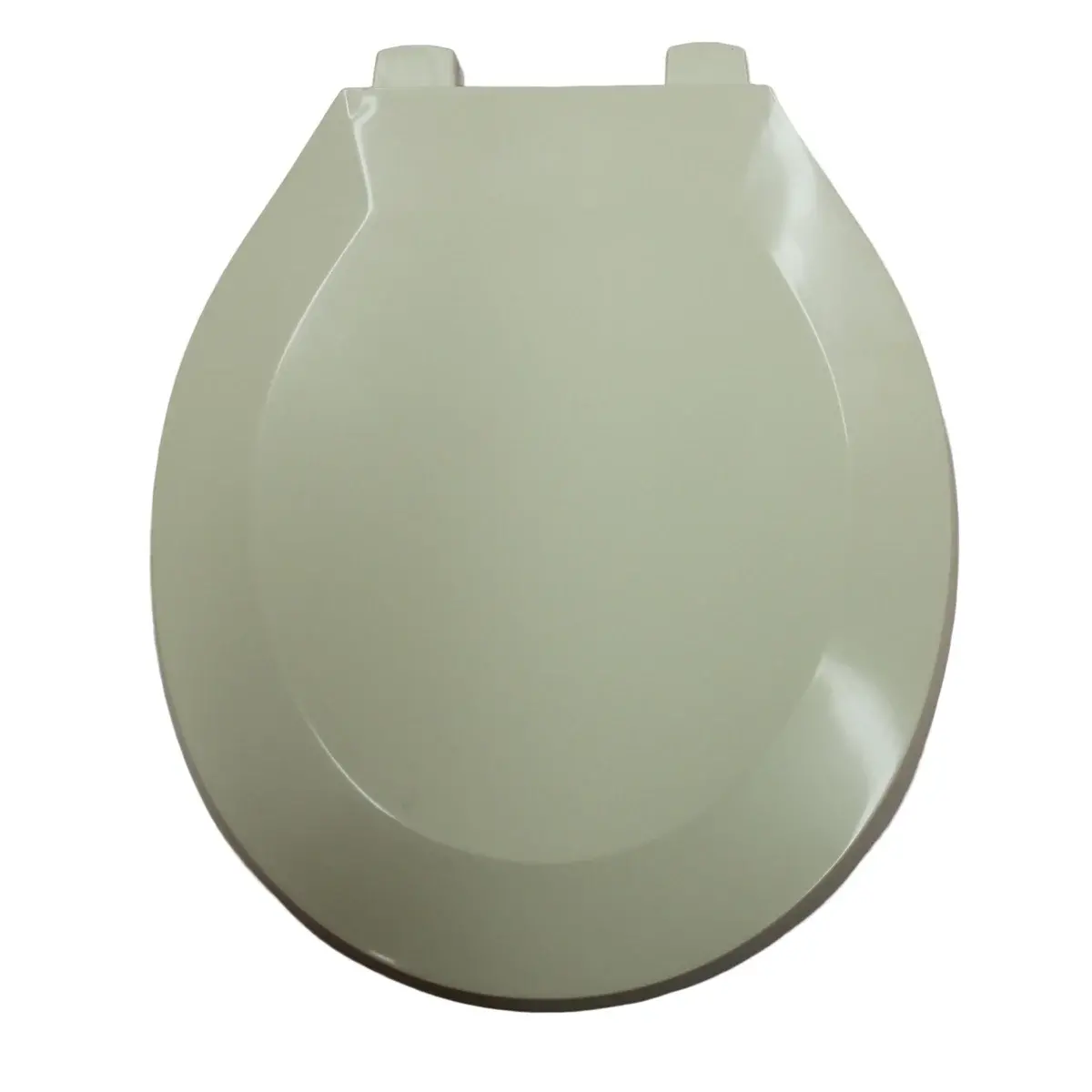 33321405_large.webp — Trend Oasis