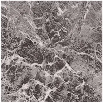 33322556_large.webp — Trend Oasis