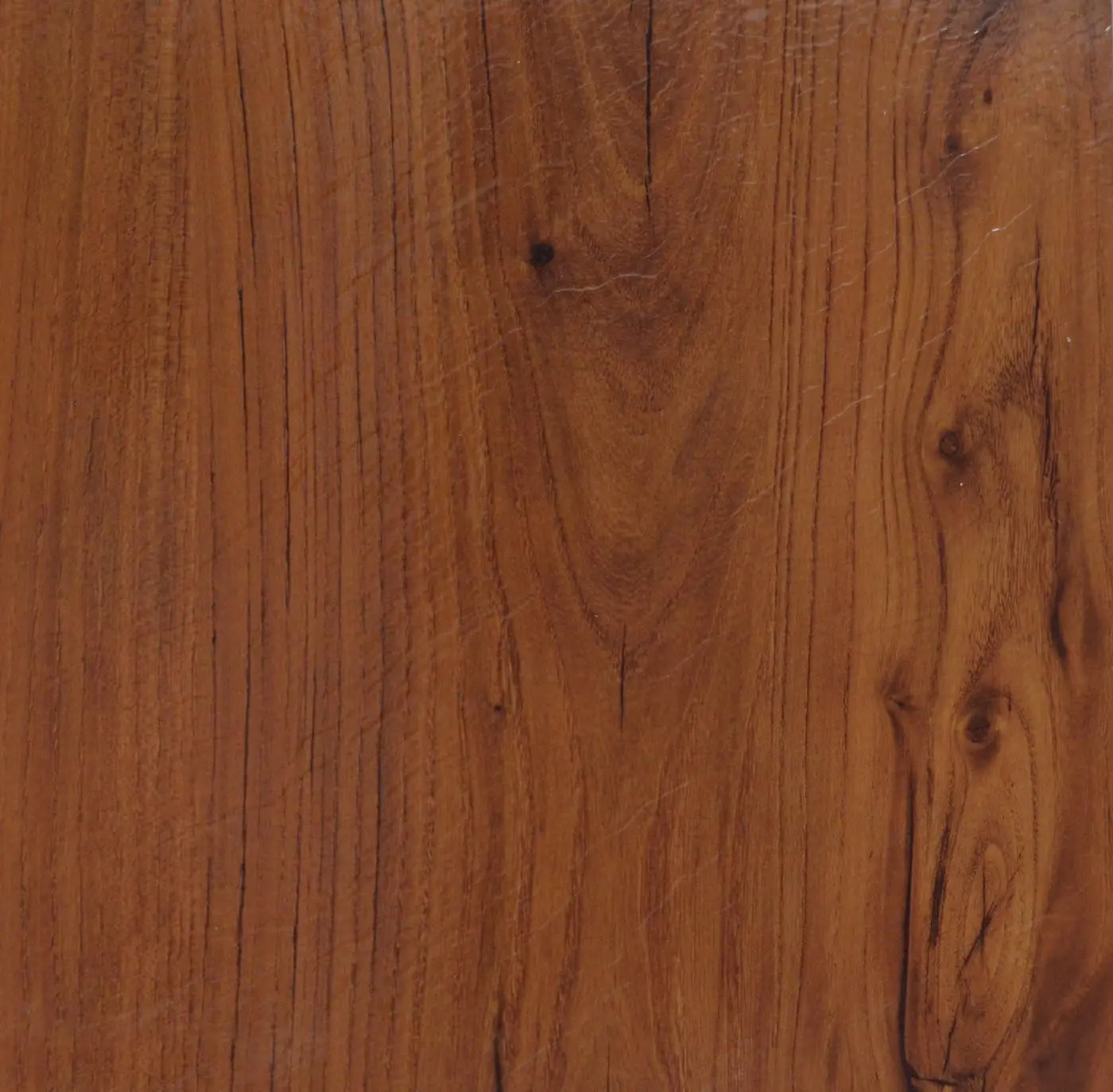 33323260_large.webp — Trend Oasis