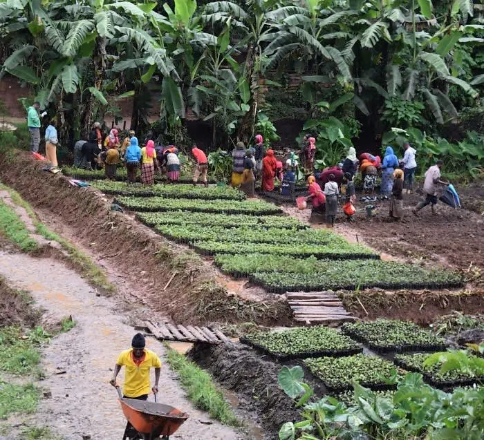 39023187_largewebp — Trend Oasis