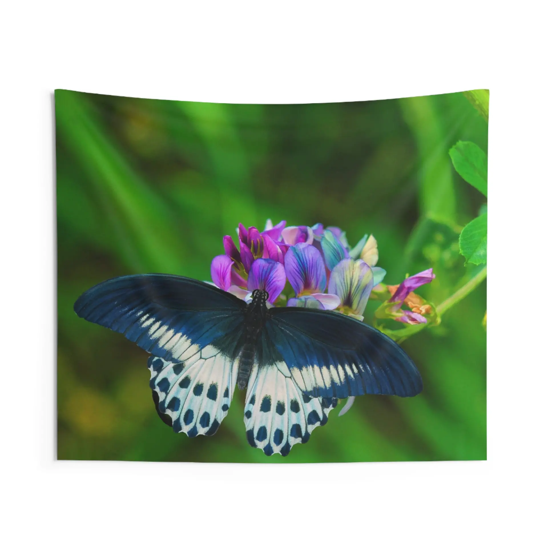39024024_largewebp — Trend Oasis