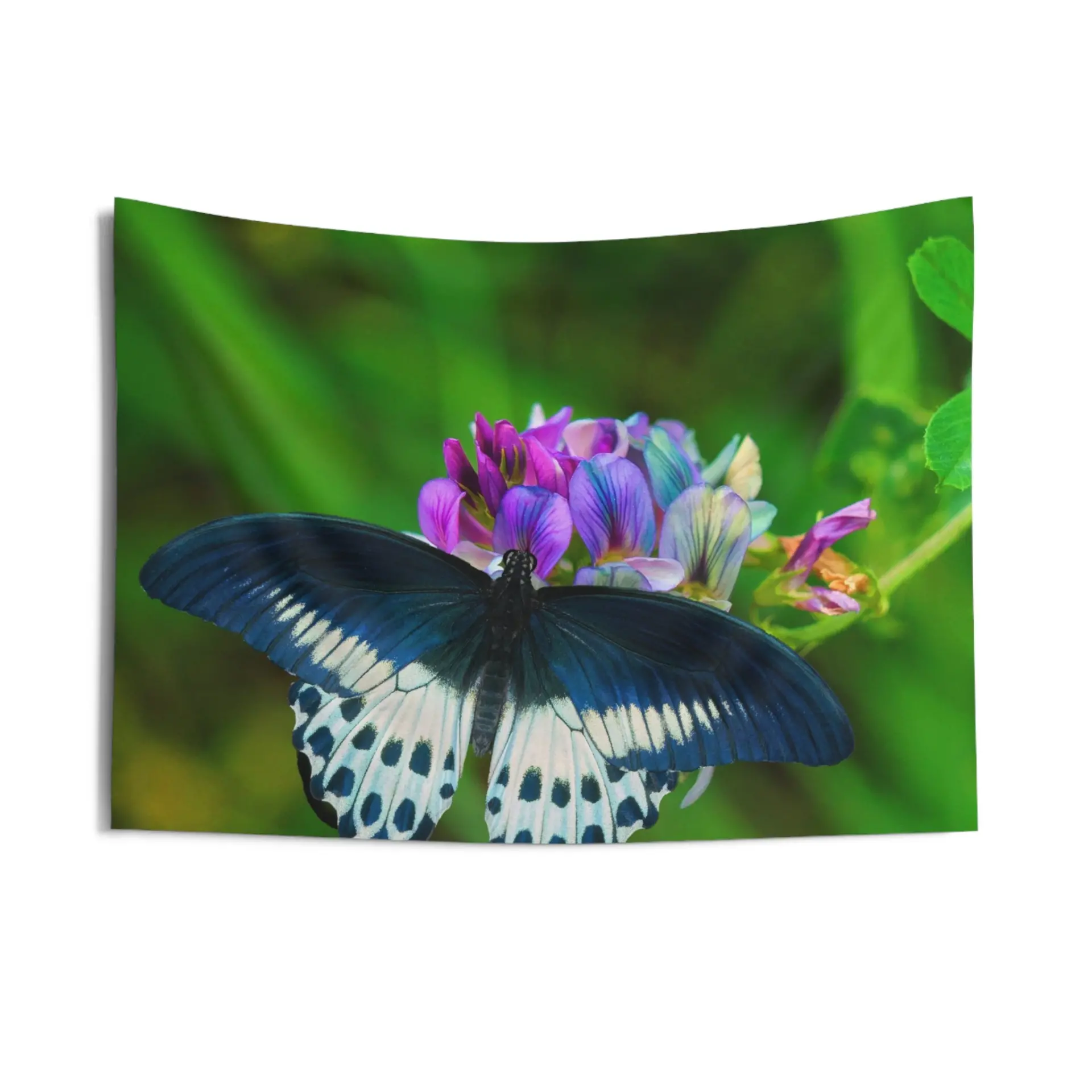 39024026_largewebp — Trend Oasis
