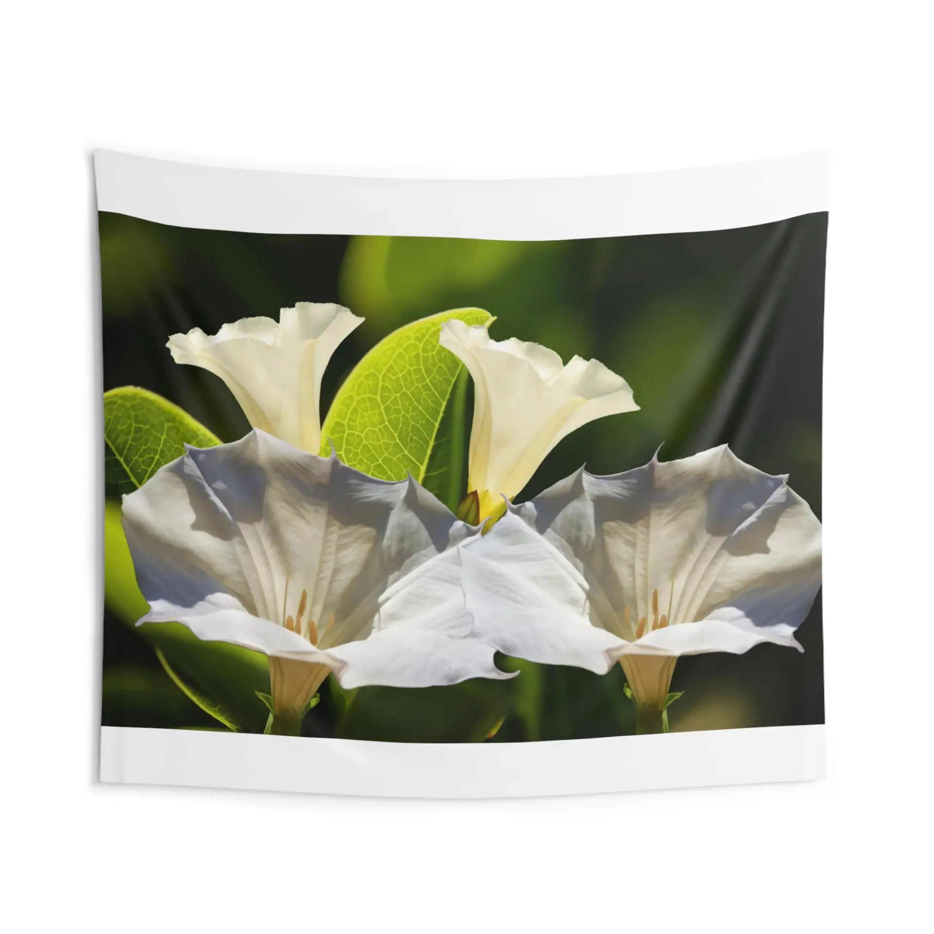 39024293_largewebp — Trend Oasis