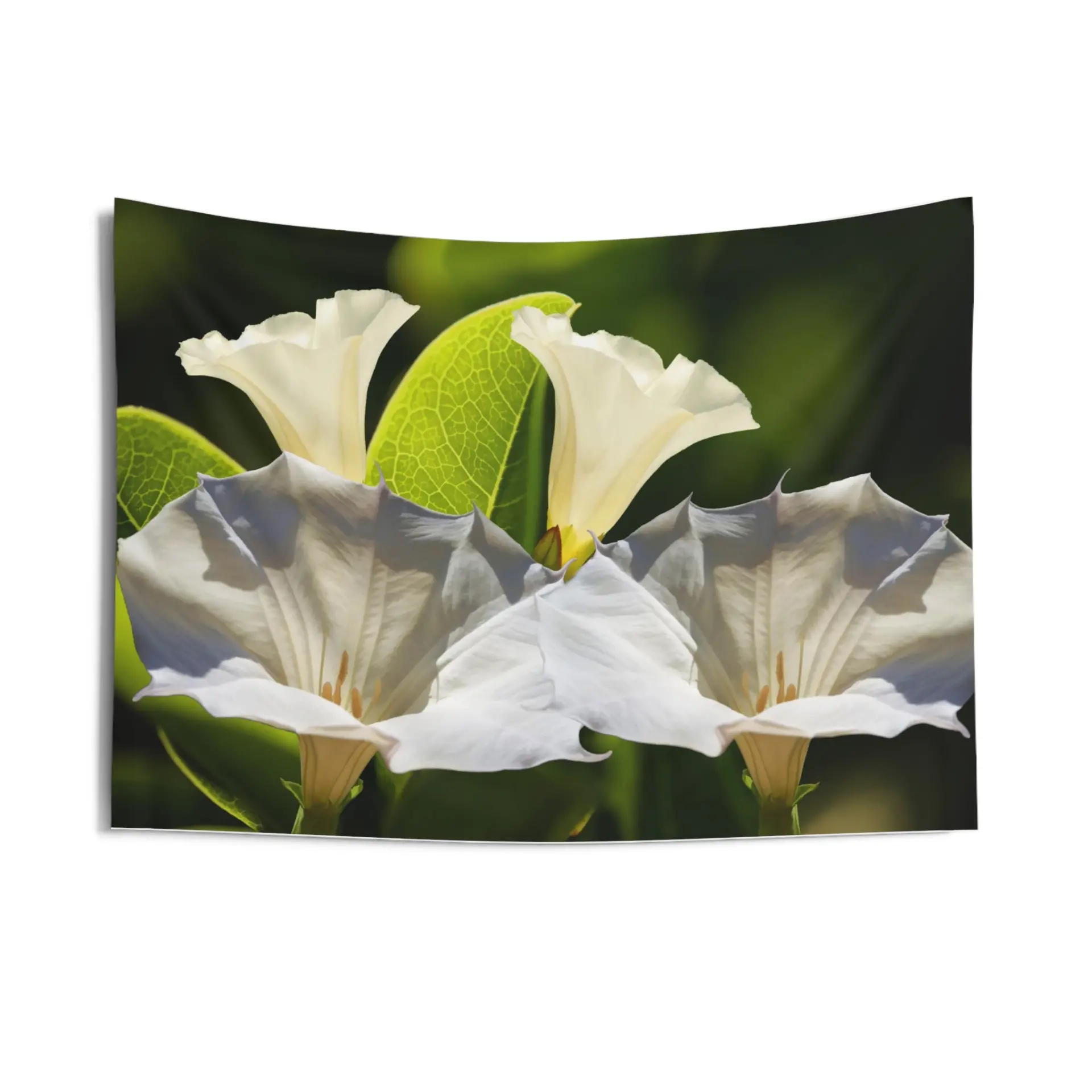 39024294_largewebp — Trend Oasis