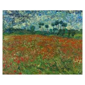 Poppy Field By Vincent Van Gogh Canvas Print