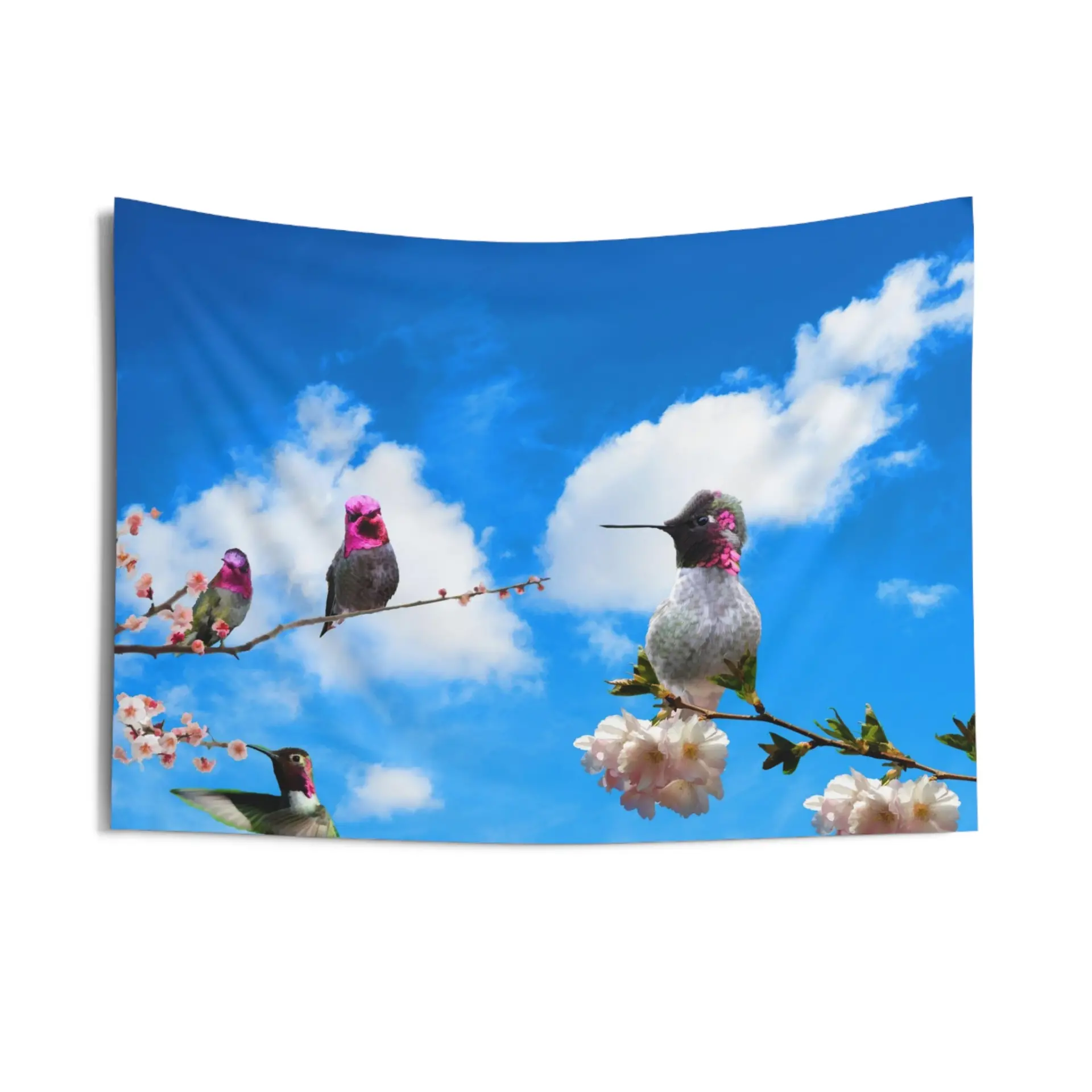 39025653_largewebp — Trend Oasis