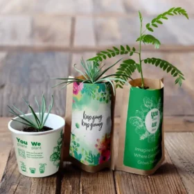 Grow Your Own Trees at Home - You Plant We Plant Pack of 3 Tree Kits with 30 Additional Trees Planted