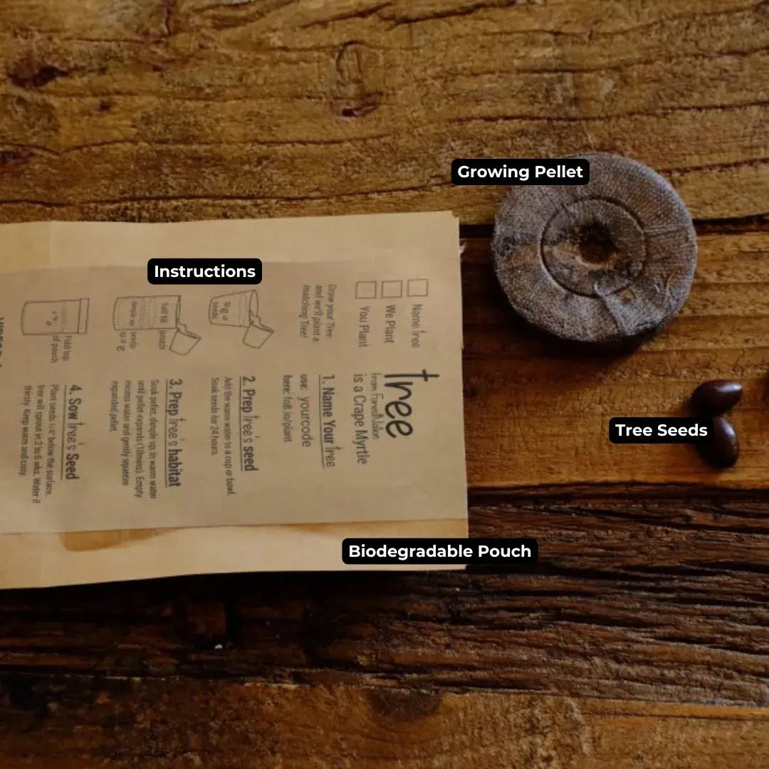 59567763_largewebp — Trend Oasis