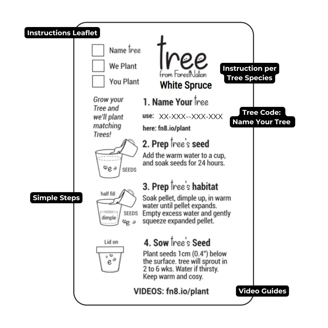 59567823_largewebp — Trend Oasis