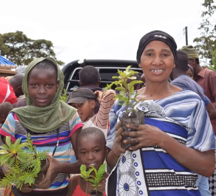 59567836_largewebp — Trend Oasis