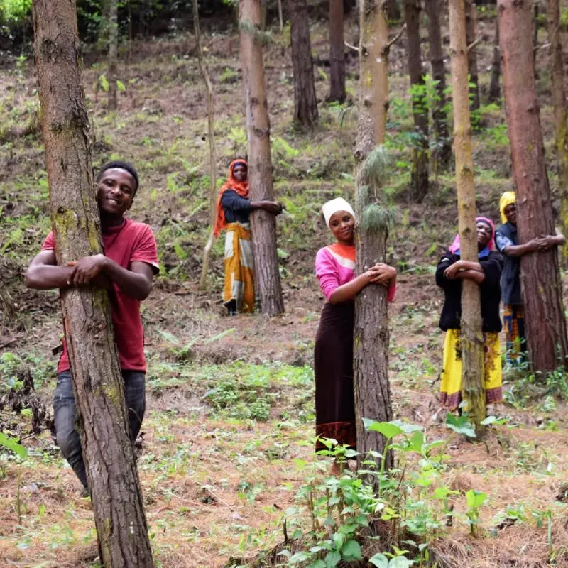 59567871_largewebp — Trend Oasis