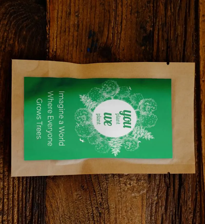 59567879_largewebp — Trend Oasis