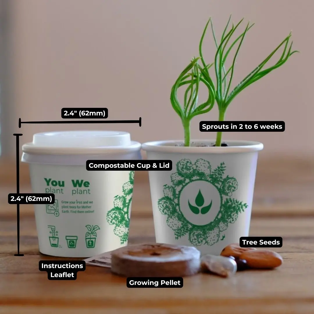 59567918_largewebp — Trend Oasis