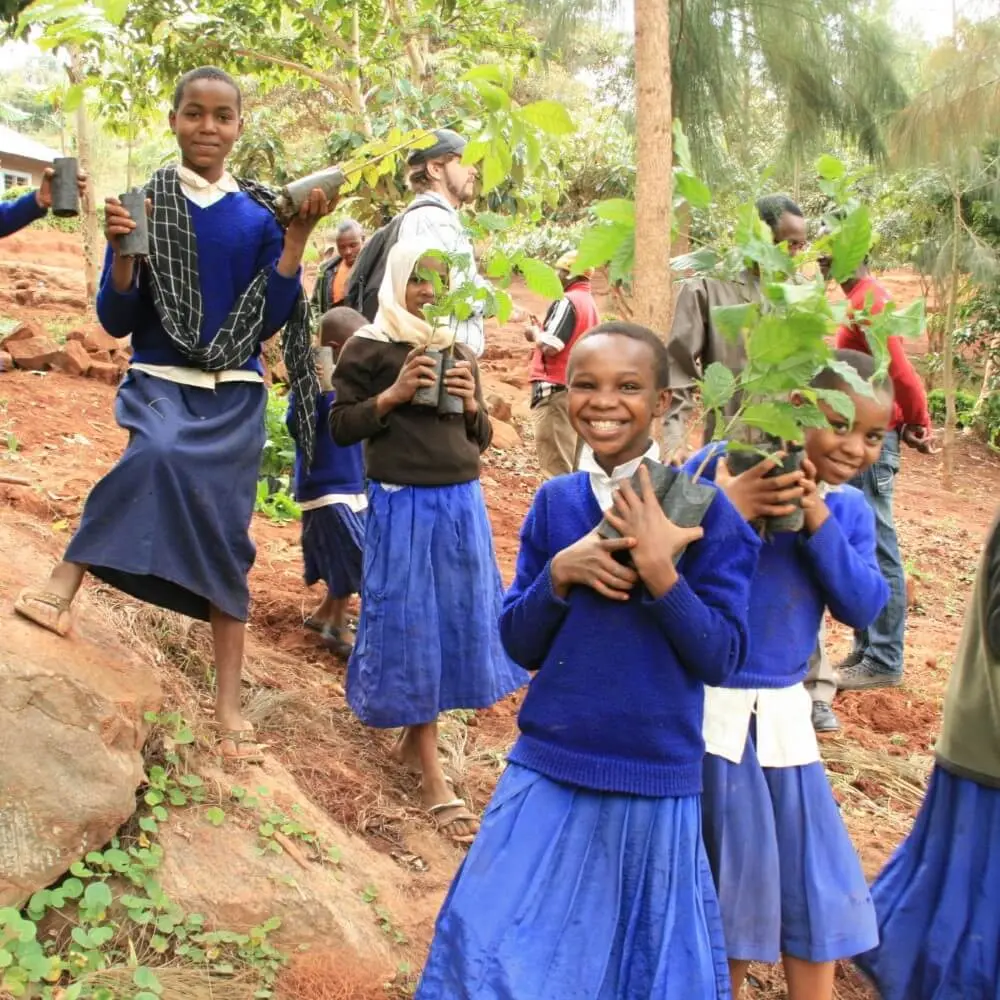 59567928_largewebp — Trend Oasis