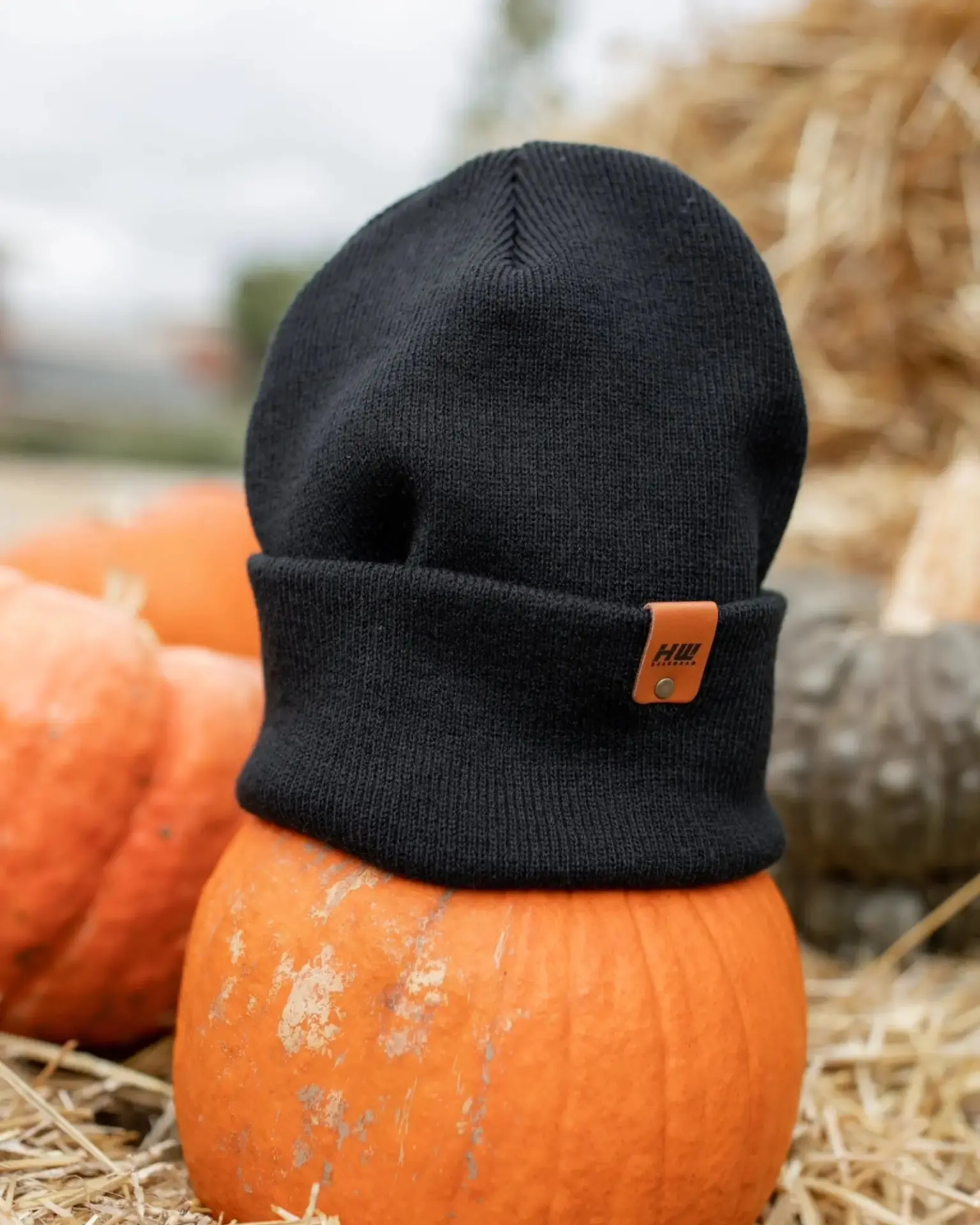 59800724_large.webp — Trend Oasis