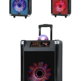 IQ Sound 12" Portable Bluetooth Speaker with Disco Ball Light