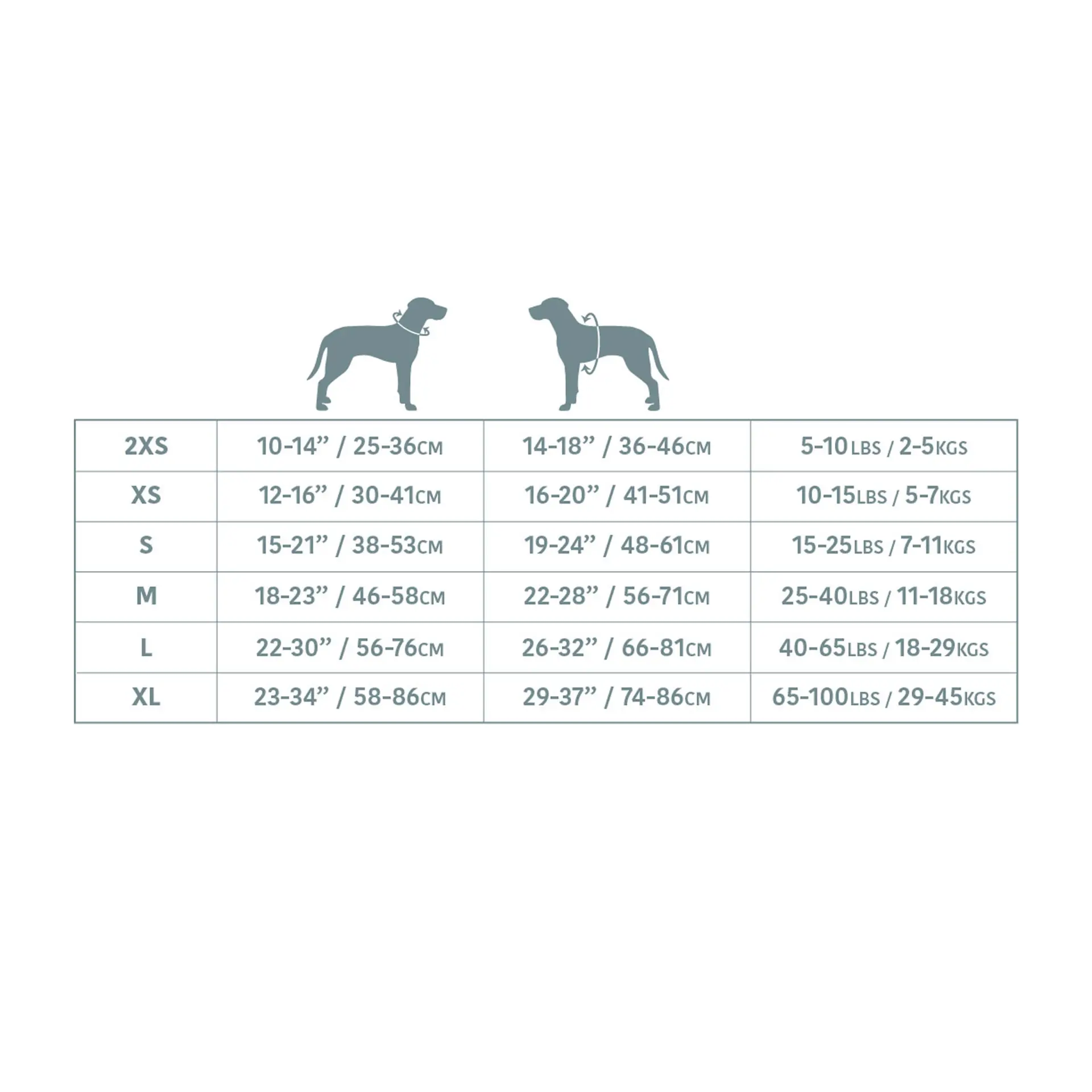 8358298_large.webp — Trend Oasis